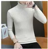 Autumn Winter New Fashion Warm Sweater Men Turtleneck Mens Sweaters Slim Fit Black White Elasticity Pullover Men Knit Double col