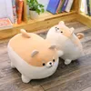 Bemenset 40 / 50cmかわいい柴犬犬豪華なおもちゃぬいぐるみ柔らかい動物のCorgi Chai Pillowクリスマスプレゼント