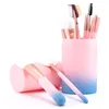 Roze make-upborstels voor funderingspoeder oogschaduw eyeliner lip markeerstift cosmetische borstel gereedschap 12pcs make-up borstel set met plastic doos