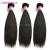 Glamorous Unprocessed Human Hair Brazilian Straight Hair Weaves 3 Bundles 100g Top Quality Malaysian Indian Peruvian Virgin Hair Extensions