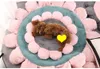 ペットベッドフォーシーズンズユニバーサルテディ犬ケンネル猫の巣小さな猫と犬のマット冬季温暖化マットxd22843