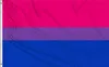 Pride Bisexual Flag 3x5 ft Pride Gay Banner 90x150cm dubbel sömnad rosa blå polyester med mässing GROMMETS4682675