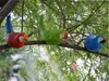シミュレートな半面オウムの庭の装飾の木の壁に取り付けられた鳥モデル樹脂工芸品屋内動物の装飾品
