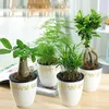 3 Pack Self Watering Pot PP Material White Flower Planter for Lazy Office Ladies for Succulents Planting Hydroponics and African Violet