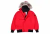 Parkas pour hommes hiver doudoune véritable fourrure de loup manteau doudoune à capuche Budge taille parka coupe-vent chaud hommes fermeture éclair épais oie vestes manteaux homme