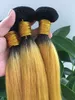 Les paquets de cheveux raides jaunes ombrés traitent les tissages brésiliens trame noire et jaune