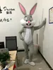 Factory Sale Professionele Paashaas Mascotte Kostuums Konijn en Bugs Bunny Adult Mascotte te koop