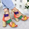 Sandals Women Lace Up Summer Shoes Woman Heels Pointed Fish Mouth Gladiator Pumps Rope High
