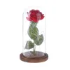 Rosa rossa in una cupola di vetro su una base di legno Rose Lampada decorativa a cupola in vetro Fiori secchi Regalo Decorazioni per la casa