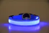 Nylon LED-hundhalsband för hundar Nattsäkerhet Blinkande Glow In The Dark Hundkoppel, Hundar Lysande Fluorescerande Halsband Husdjurstillbehör USB Uppladdningsbar