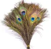 순수 천연 공작의 깃털은 공작의 깃털을 수입 DIY 가정용 꽃병 장식 25-30 cm W816