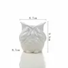 Succulent pot owl ceramic flower pot bonsai planter small animal shape Christmas holiday gift kids home decor