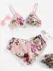 Le nuove donne della biancheria intima di stile hanno fissato i modelli di esplosione del vestito sexy del reggiseno super raccolto generoso e bellissimo set di biancheria intima S1012