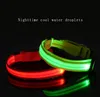 Collare di cane di nylon ricaricabile USB Collari di cane di nylon LED 2.5CM Larghezza 3 Dimensioni Dollari di sicurezza LED Forniture per animali domestici con un nastro riflettente