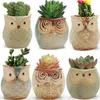 Cute Mini Ceramic Decorative Owl Flower Pots Planters Retro Creative Succulents Nursery Floral Holder Organizer Garden Supplies 6 style