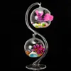 DIY Micro Landscape Hanging Ball Shape Glass Plant Vase Home Garden Party Decoration