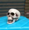 Halloween Skull Prop Scary Simulation Plastic Skull Decor Skull Skeleton Props for Party Haunted House Roombreak Bar JK1909XB