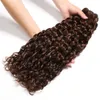 Molhado e ondulado castanho chocolate Humano Brasileiro Cabelo Weave Pacotes com fecho Dark Brown Water Wave 3Bundles com 4x4 Lace Encerramento 4pcs Lot