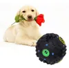 7.5 cm grappige huisdier voedsel dispenser speelgoed bal hond kat speelgoed piepzak kwakzaad geluid speelgoed voor hondenpuppy training levert