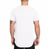 مصمم جيم ملابس اللياقة البدنية T Shirt Mens Mass