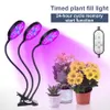 Led groei licht groei tent groeiende doos lamp cultivo indoor cob led full spectrum plant licht 2pc / lot, 5pc / lotpc