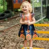 ベビー服子供服2019夏の幼児の女の子国立スタイル印刷ドレスノースリーブシンプルな拡張スカート女の子のビーチのドレス
