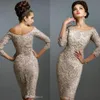 2019 Cheap Mother Off Bride Dresses Full Lace Off Shoulder Long Sleeves Knee Length Plus Size Wedding Guest Mother Of The Bride Dress