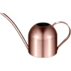 Yardwe 1000ml Stainless Steel Watering Can Indoor Plants Succulents Long Spout Watering Pot for Home Garden Office (Copper) T200518