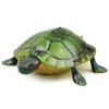 Jouet de tortue télécommandé infrarouge électrique sans fil drôle, tricherie de blague de tortue créative, jouer avec un animal de compagnie, cadeau de Noël pour garçon d'anniversaire, 2-2