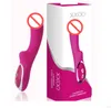 Vibrateurs AV de charge magnétique jouets sexuels pour femmes gode vibrant à 10 vitesses vibrateur Anal baguette magique masseur produits de sexe pour adultes