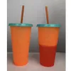 Tazza staccabile in plastica Cambia pagine a colori Bottiglie d'acqua Bicchieri isolati Protezione termica Tazza d'acqua portatile con cannuccia 5 colori RRA1751