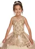 3D Çiçek Aplike Dantel Şampanya Kızlar Pageant Elbiseler 2020 Cap Kollu Jewel Boncuklu Kristal İki Katmanlar İlk Communion Çiçek Kız Elbise