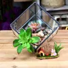 Paysage bricolage Micro Cube de verre à effet de serre Plantes Succulentes Pot de fleurs greating une atmosphère paisible et jardin micro et de faire croître les plantes
