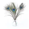 Najwyższej jakości Peacock Pióra Długość 25-30 cm Piękny Naturalny Peacock Pióro DIY Jewelry Craft Prezent Party Dekoracji Deco Armatura