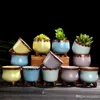 Mini Etli Etli Saksı Ham Çömlekçilik Renk Mix Başparmak Tencere Taşınabilir Ev Masaüstü Dekor Sıcak Satış 2 9yj E1