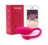 Sans fil Smart APP Jump Eggs Télécommande Gspot Clitoris Stimulateur Vibrateurs Sex Toys Mini Vibe Masturbateur Vaginal Balls8368705