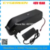 48v 1000w electric bicycle kit with battery