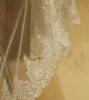 Luxurious Lace Appliques Edge Pattern of Beaded Sequin Embroidery Cathedral Wedding Veil 3M Long Bridal Wedding Head Veil Cheap We2842627