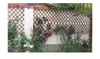 Trästaket Karbricerad och antikorrosiv Fäktning Trä Trellis Telescopic Netting Wall Grid Flower Rack Climbing Vine