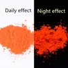 Neon Party Oogschaduw Poeder 12 Kleuren in 1 Set Luminous Eyeshadow Nail Glitter Poeder Pigment Fluorescerend Poeder Manicure Nail Art