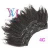 Cabelo peruana Virgem afro Kinky cabelo encaracolado 3B 3C 4A 4B 4C Cor Natural cutícula Alinhado 100g Remy Humano 12 26 grampo na extensão