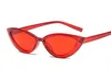 Wholesale-Cat Eye Style Clear Frame Sunglasses Women Purple Red Pink Summer Accessories for Beach Fashion Female Sun Glasses