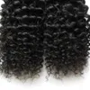 crépus bouclés bande cheveux humains 40 pièces/ensemble 100g Bande Dans les Extensions de Cheveux Humains 100g peau trame bande extensions de cheveux 8 "--30"