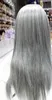 Wig populair nieuw lang grijs gemengde rechte cosplay haarpruik