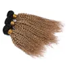 1B27 Honey Blonde Ombre Kinky Curly Human Hair Bundles 3st Black Root Light Brown Ombre Brasilian Virgin Human Hair Weave wefts5675329