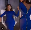 Middlewaisted Gamiss Bodycon Sheath Dress Long Sleeve Party Sexy Women Clothing Back Full Zipper Robe Sexy Pencil Tight Dress Ves96099627