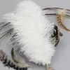 25-30 cm Ostrich Feather Celebration Party Carnival Stage Craft Color Pure Natural Strusi Feather Darmowa Wysyłka