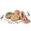 jouets d'apprentissage des dinosaures