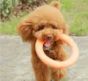 犬の飛ぶリングトレーニング子犬のおもちゃエヴァペットチュー噛むおもちゃインタラクティブモーションツール10pcs309i