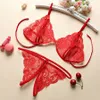 2018 lingerie Open Bra Crotch Porno Lace Transparent Underwear Baby Doll sexy hot eroticwomen exotic apparel sexy lingerie Tback